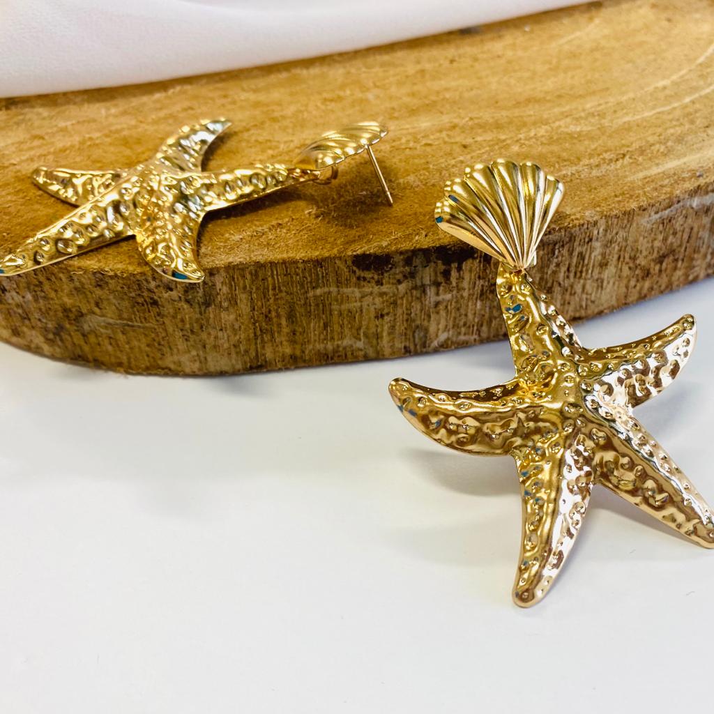 BIG STAR EARRINGS